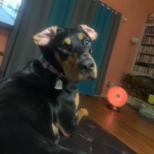 Meet your Posher, Austin